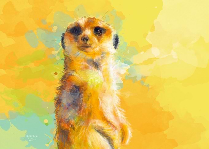 Dear Little Meerkat
