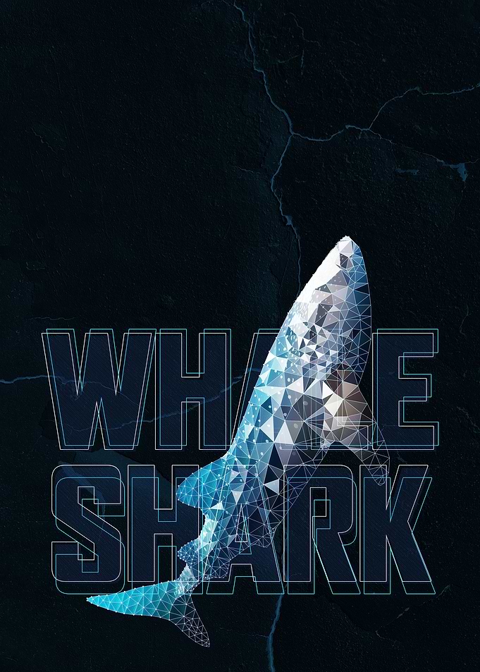 Whale Shark