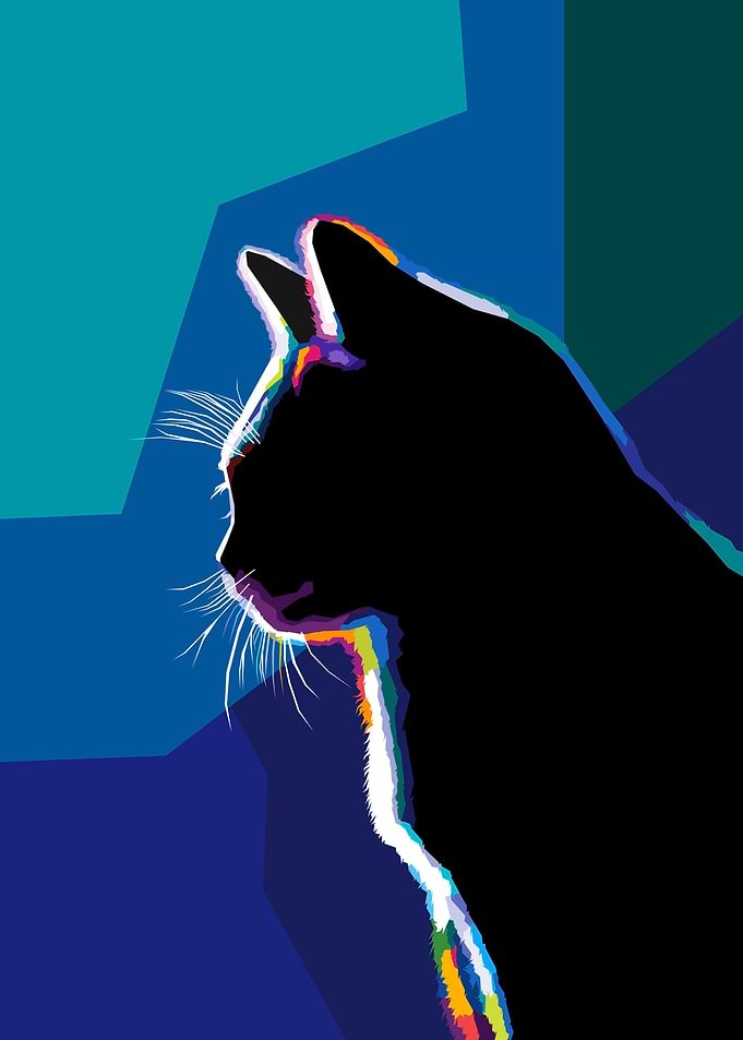 Cat Pop art