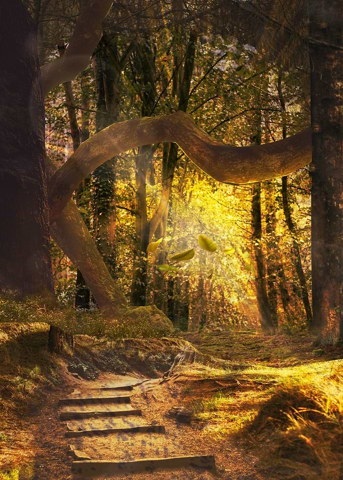 Golden Forest