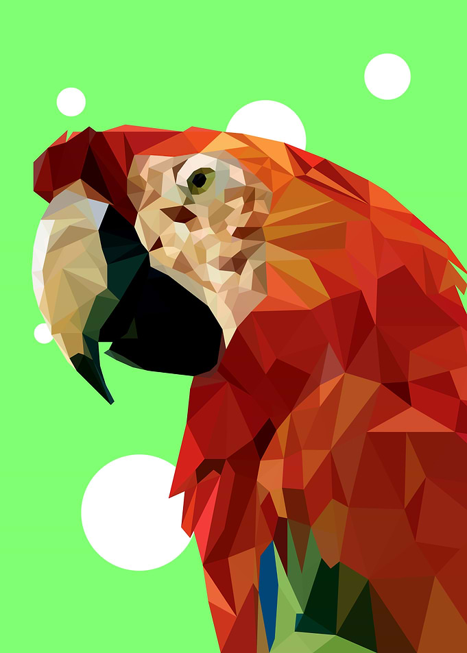 Parrot