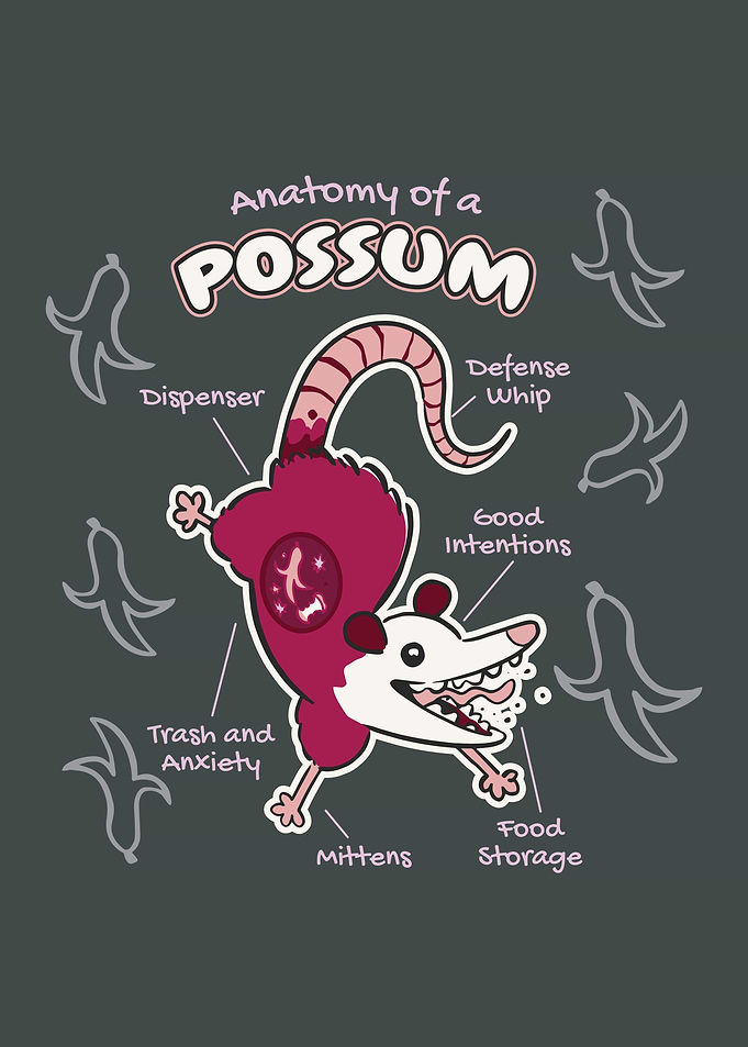 Anatomy of a Possum Funny