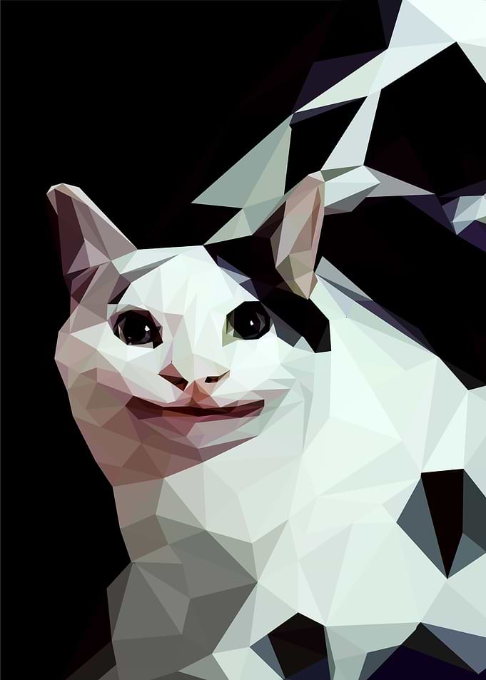 polite cat