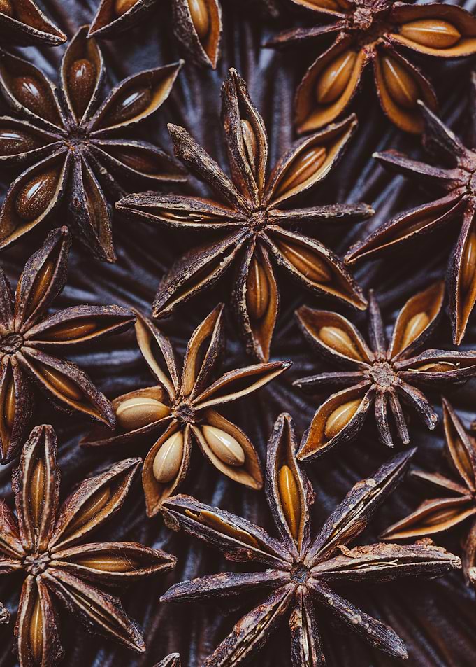 Anise