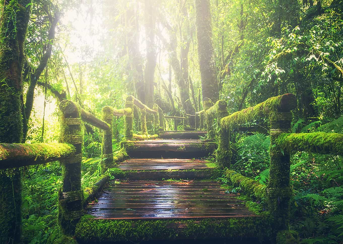World Landscape