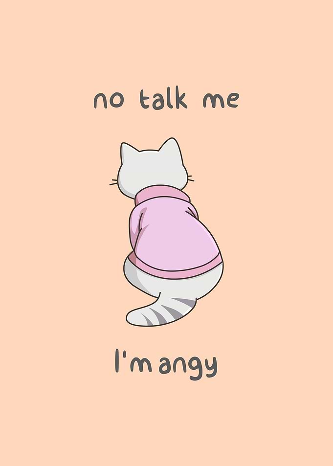 Cute but Angry Cat
