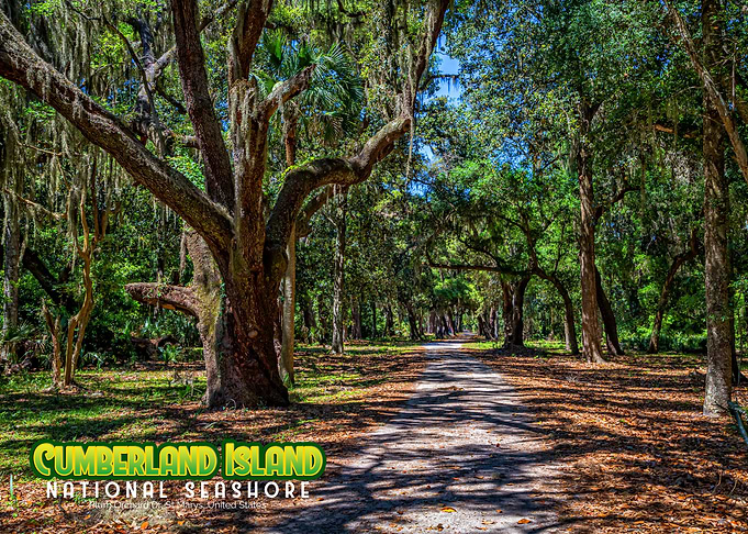 Cumberland Island