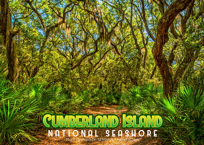 Cumberland Island