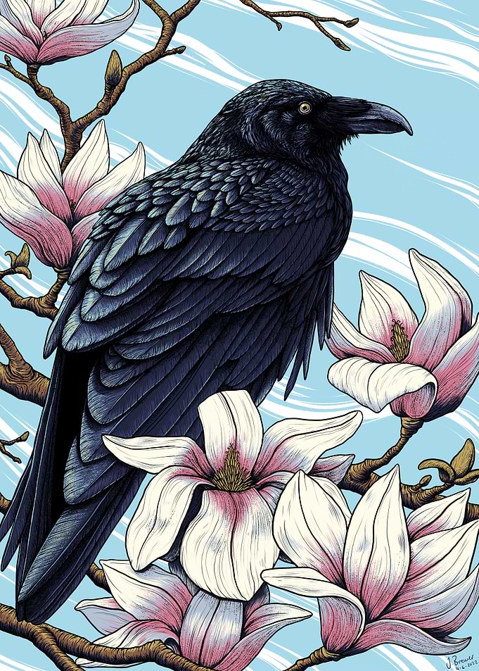 Magnolia Raven