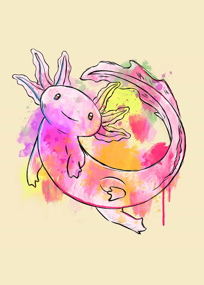 Axolotl Watercolor