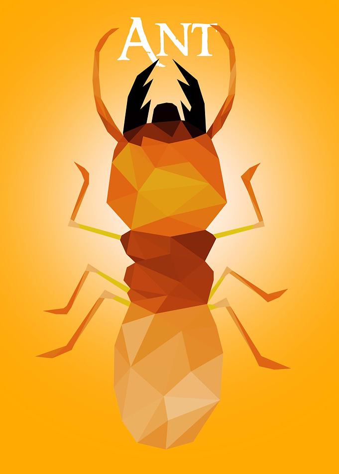 Ant