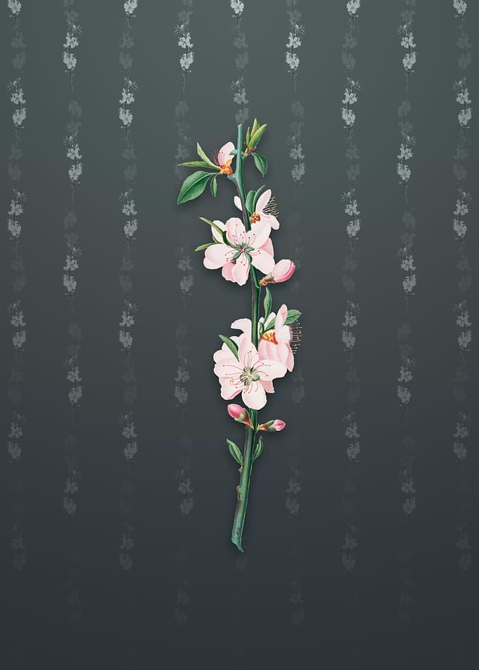 Vintage Peach Flower