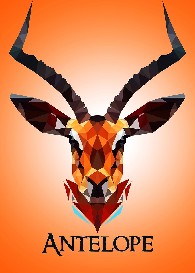 Antelope