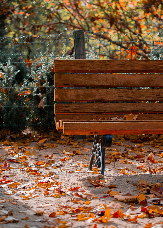 Bench