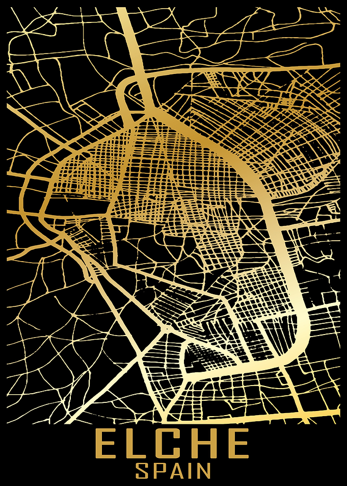 Elche Spain City Map