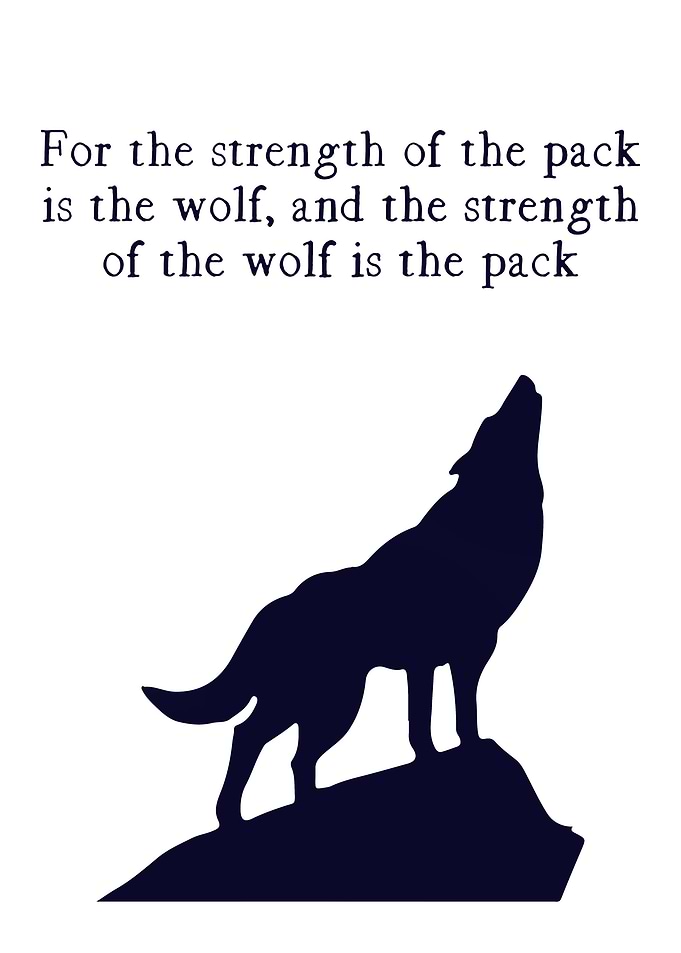 Wolf Pack quote
