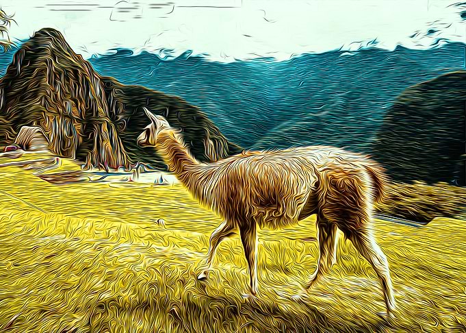 Lama