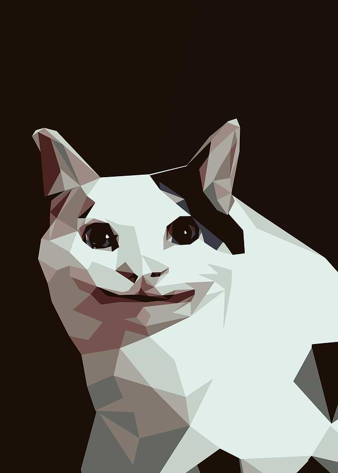 Polite Cat Meme