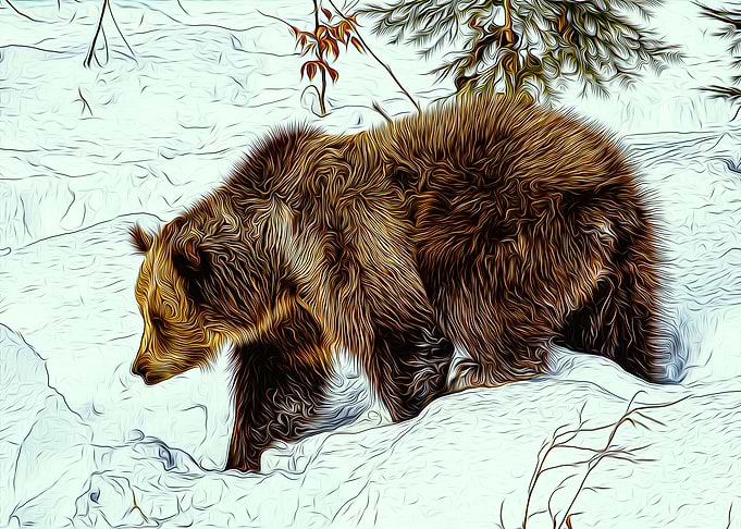 Grizzly