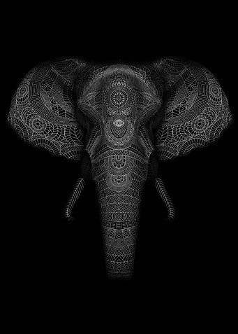 elephant pattern