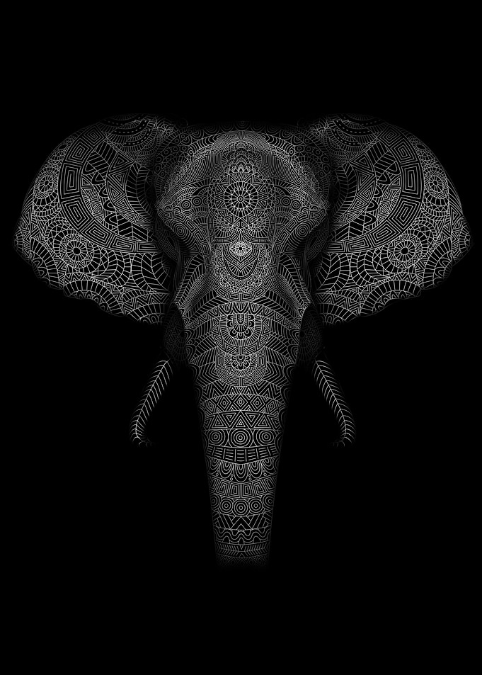 elephant pattern