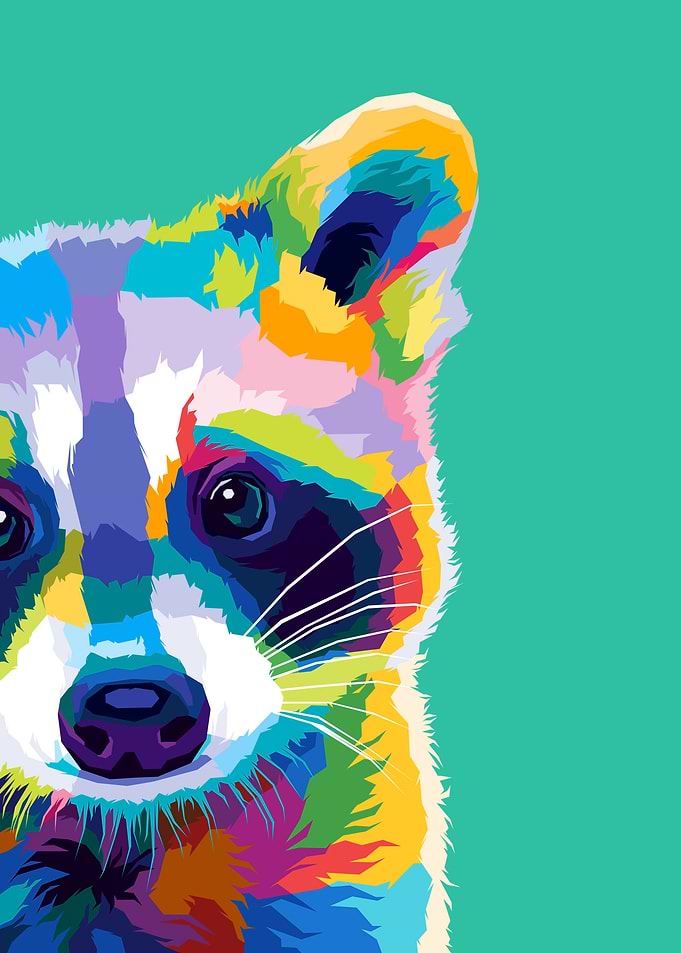 Raccoon Pop art