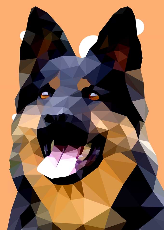 Shepherd