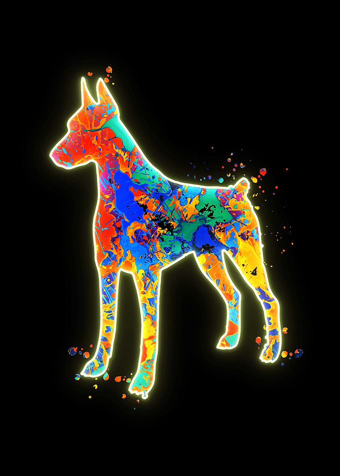 Doberman Pinscher