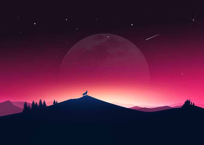 Lone Wolf