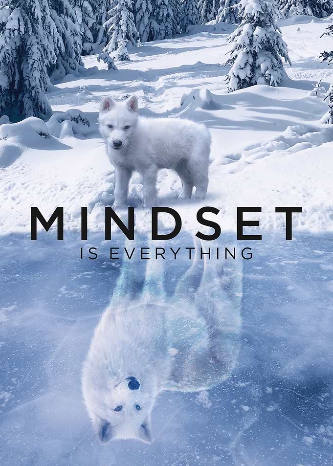 Arctic Wolf Mindset