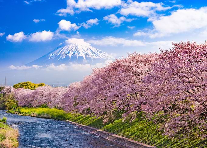 Mount Fuji