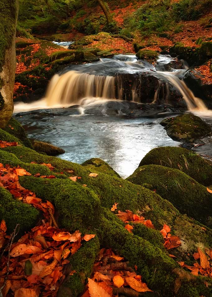 Scenic mountain creek