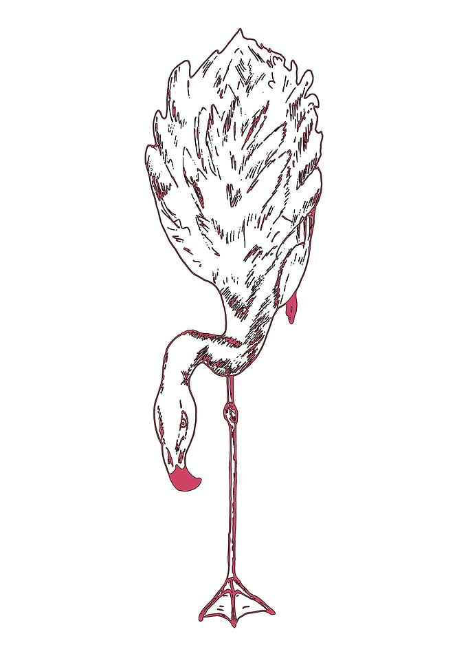 Pink Flamingo