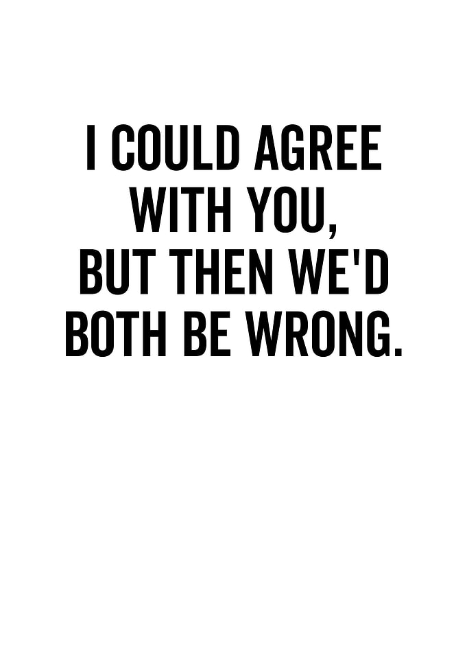 I Could Agree With You But