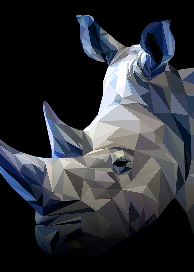Rhino