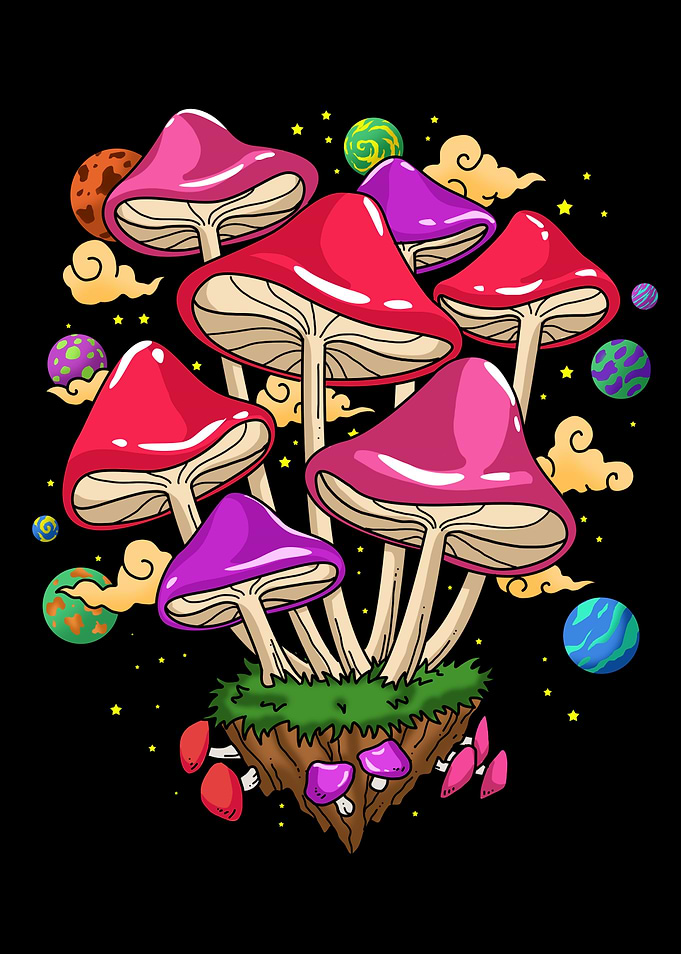 Psychedelic Mushrooms Gift