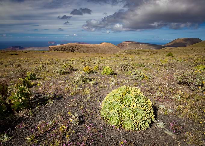 Spain island, Lanzarote