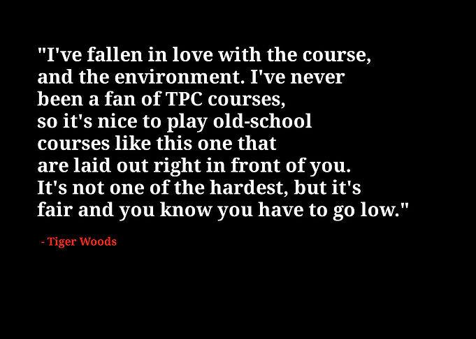 Tiger woods quotes