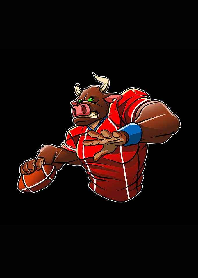 Football rugby bull