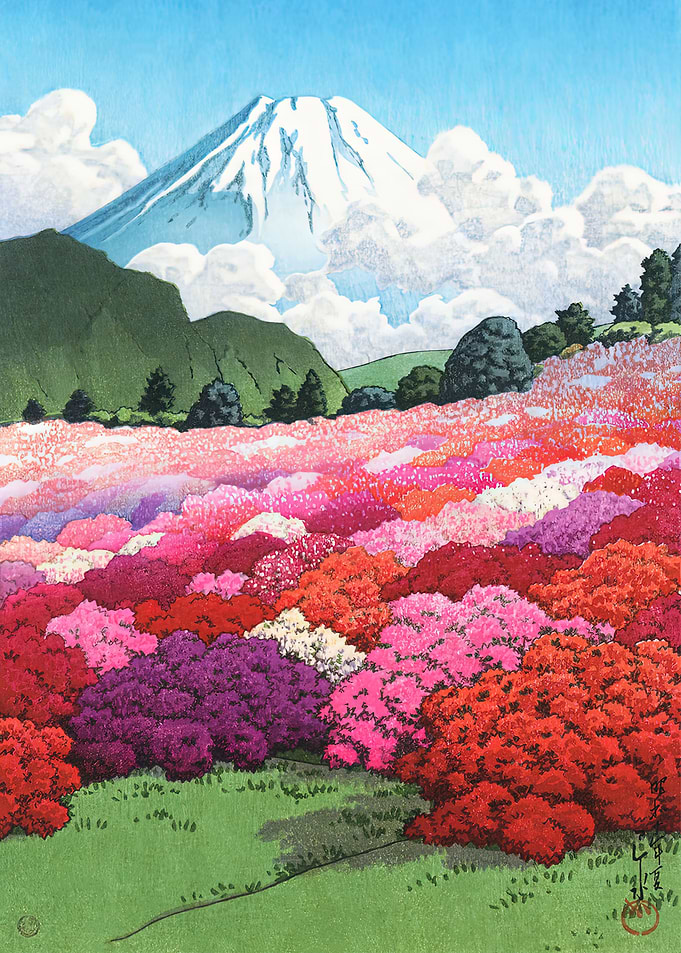 Field of Flowers at Hakone