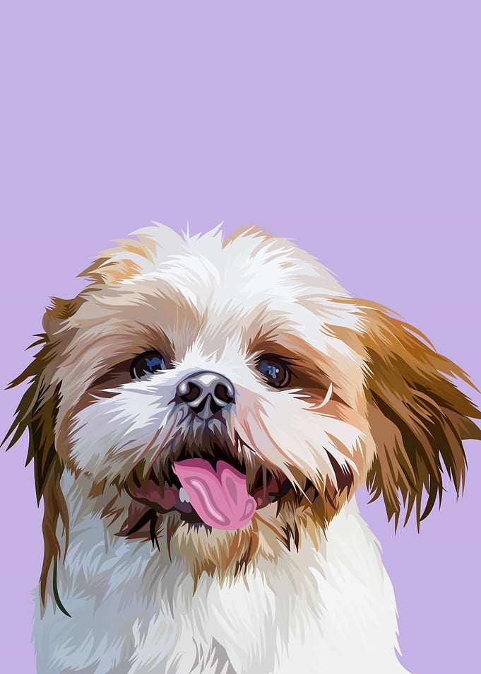 Shih tzu tongue out vector