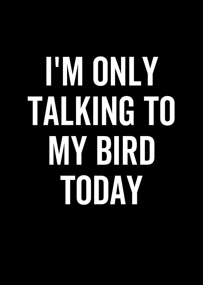 Im Only Talking To My