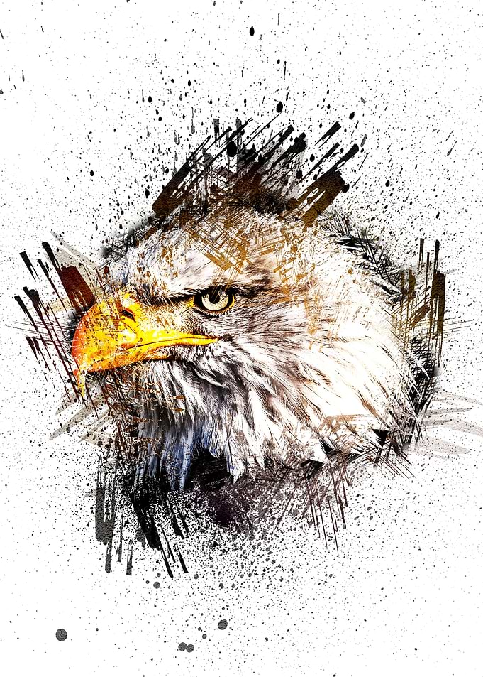 Animal Eagle