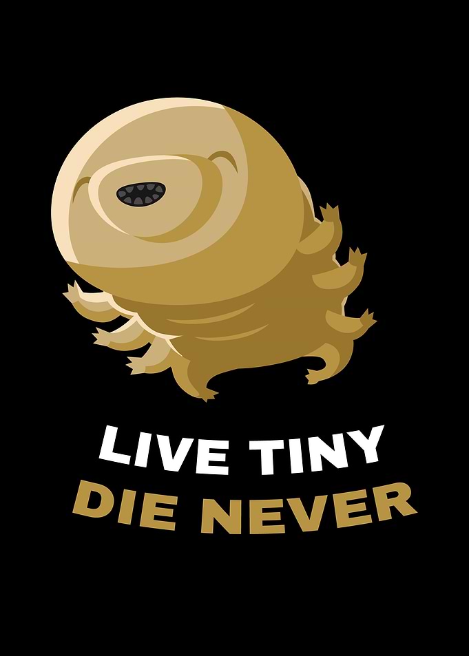Live Tiny Die Never