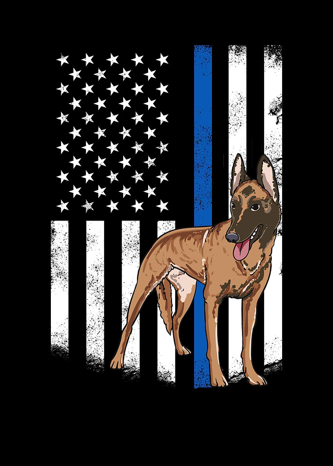 Belgian Malinois Dog