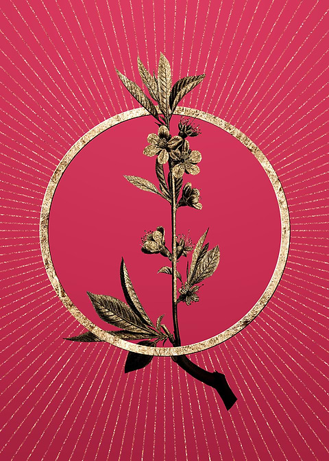 Gold Pink Flower Branch