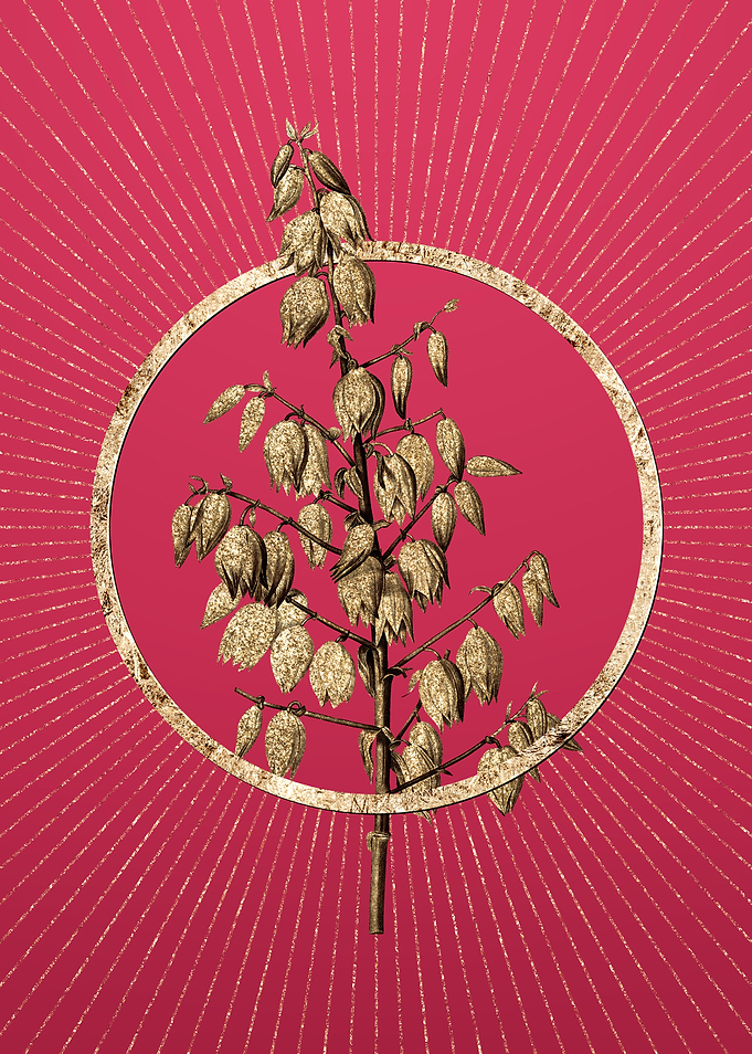 Viva Magenta Adams Needle