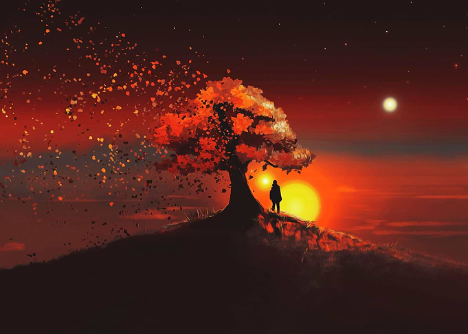 Nature sunset