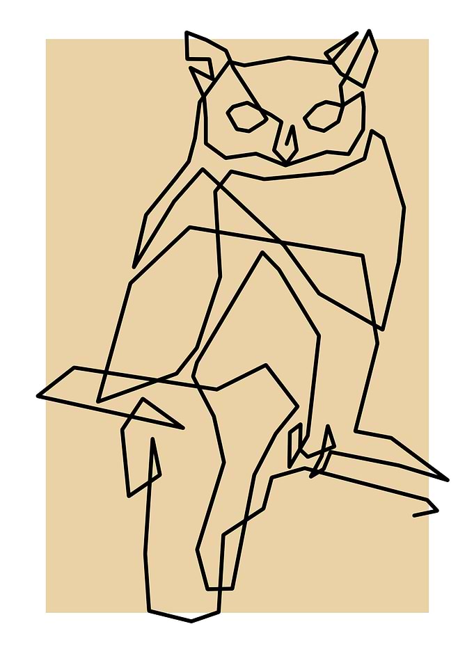 Oneline Owl