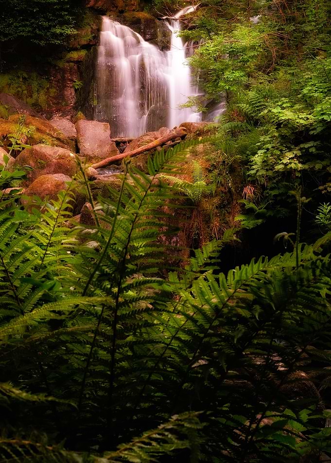 Scenic waterfall